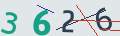 verifycode